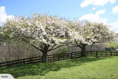 Photo of property in 812 Paradise Valley Road, Ngongotaha Valley, Rotorua, 3072