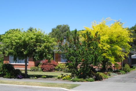Photo of property in 493 Avonhead Road, Avonhead, Christchurch, 8042