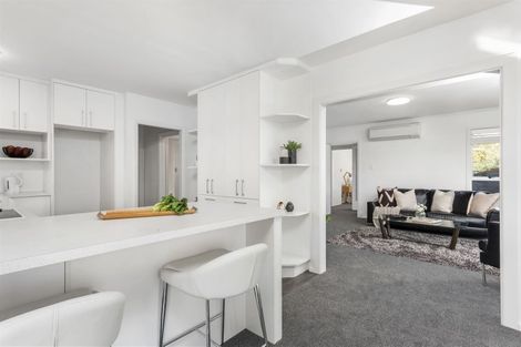 Photo of property in 101 Harris Crescent, Papanui, Christchurch, 8053