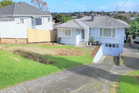 Photo of property in 53 Rogan Street, Mount Roskill, Auckland, 1041