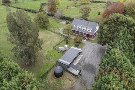 Photo of property in 195 Hautapu Road, Pukemoremore, Cambridge, 3493