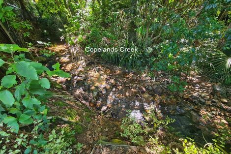 Photo of property in 30 Driving Creek Road, Coromandel, 3506