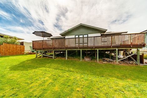 Photo of property in 20 Eagle Street, Waipawa, 4210