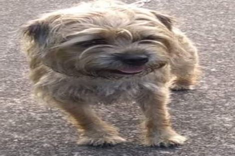 Photo of property in 144 Wade River Road, Wade Heads, Whangaparaoa, 0932