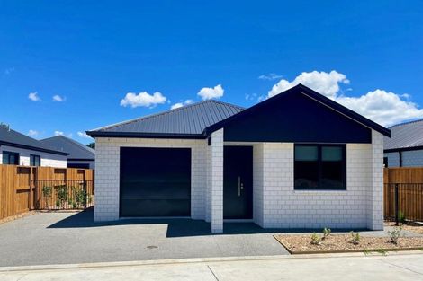 Photo of property in 5 Magnolia Lane, Katikati, 3178