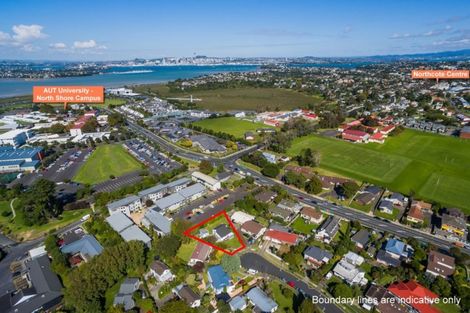 Photo of property in 9 Raupapa Street, Northcote, Auckland, 0627