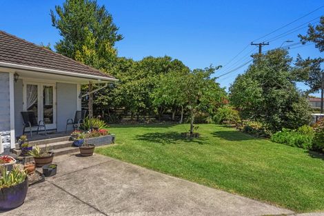 Photo of property in 207 James Street, Whakatane, 3120