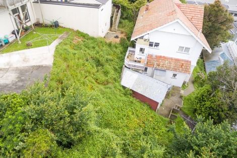 Photo of property in 41 Thompson Street, Mount Cook, Wellington, 6011