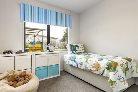 Photo of property in 10 Mcisaac Place, Renwick, 7204