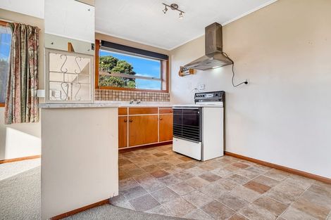 Photo of property in 55 Liverpool Street, Levin, 5510