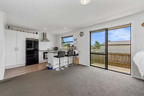 Photo of property in 43d Insoll Avenue, Enderley, Hamilton, 3214