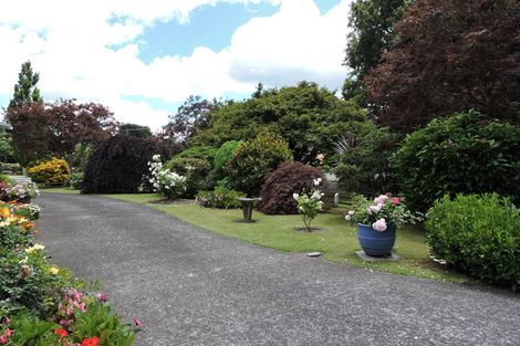Photo of property in 6 Burwood Road, Matamata, 3400