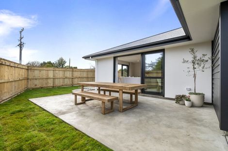 Photo of property in 207 South Street, Feilding, 4702
