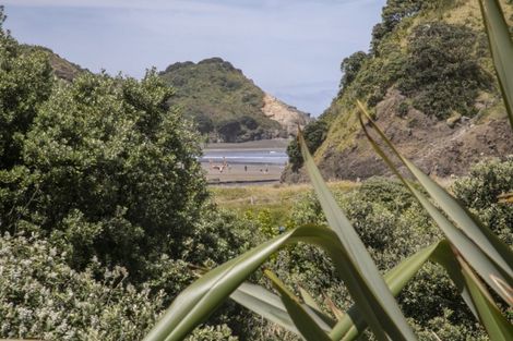 Photo of property in 65 Marine Parade North, Piha, 0772