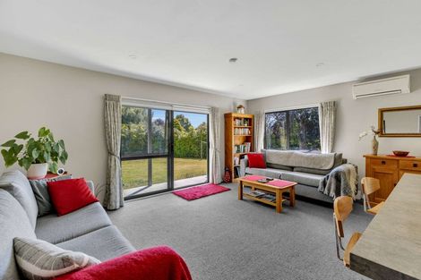 Photo of property in 15 Brook Street, Southbridge, 7602