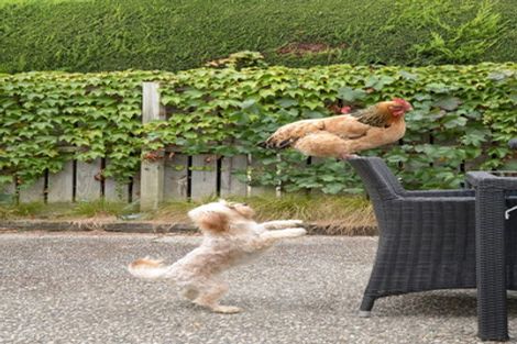 Photo of property in 76 Sunderland Street, Clyde, 9330