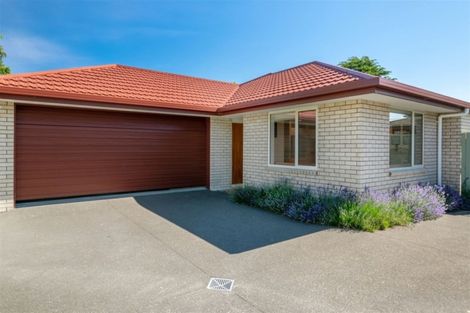 Photo of property in 145a Charles Street, Blenheim, 7201