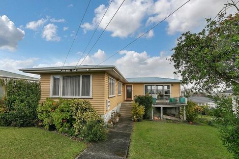 Photo of property in 50 Ellis Avenue, Mount Roskill, Auckland, 1041