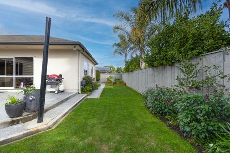 Photo of property in 25a Avenue Road, Greenmeadows, Napier, 4112