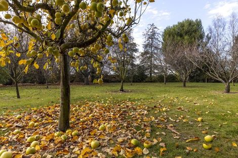 Photo of property in 42 Old Renwick Road, Springlands, Blenheim, 7201