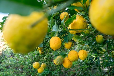 Photo of property in 77 The Parade, Paekakariki, 5034