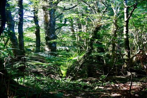 Photo of property in 1/19 Glasseye Drive, Little Wanganui, Karamea, 7893