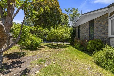Photo of property in 19 Carnot Street, Glenholme, Rotorua, 3010