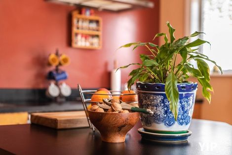 Photo of property in 330 Adelaide Road, Newtown, Wellington, 6021