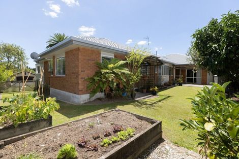 Photo of property in 30 Buckingham Place, Bethlehem, Tauranga, 3110