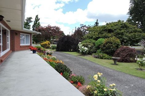 Photo of property in 6 Burwood Road, Matamata, 3400