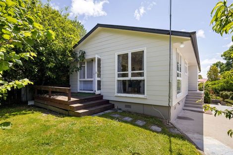 Photo of property in 17 Amethyst Place, Chartwell, Hamilton, 3210