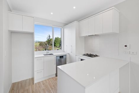 Photo of property in 19 Bonnette Road, Flat Bush, Auckland, 2019