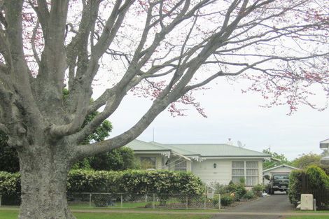 Photo of property in 105 Stanley Avenue, Te Aroha, 3320