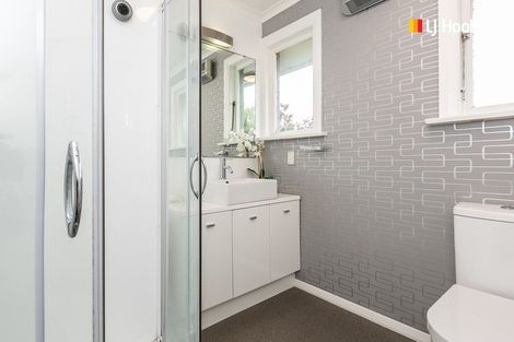 Photo of property in 29 Ross Street, Roslyn, Dunedin, 9010