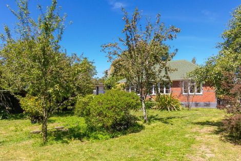 Photo of property in 118 Renall Street, Masterton, 5810