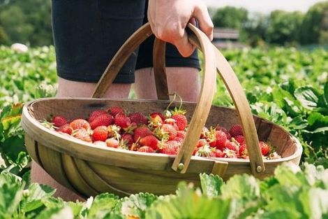 Photo of property in 138 Taupaki Road, Taupaki, 0782