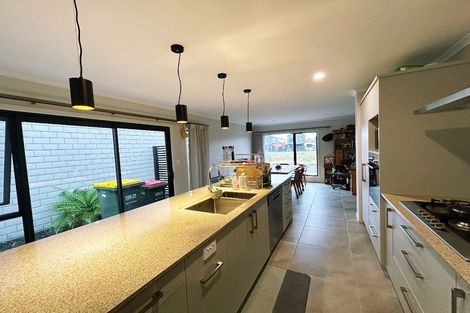 Photo of property in 18 Cogar Terrace, Chartwell, Hamilton, 3210