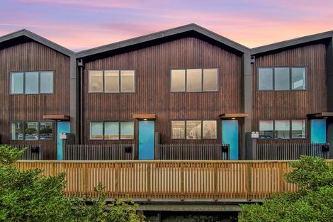 Photo of property in Aniva Terrace, 32 Ferguson Street, Newtown, Wellington, 6021