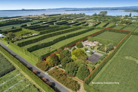 Photo of property in 76 Pukakura Road, Katikati, 3178