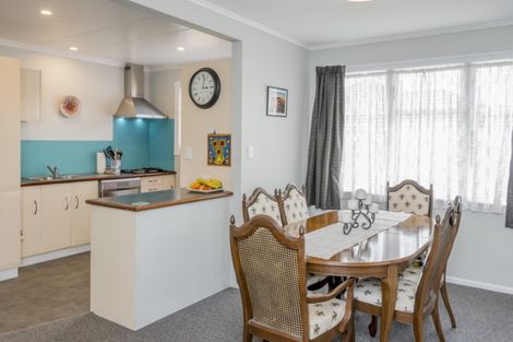 Photo of property in 55 Tiro Tiro Road, Levin, 5510