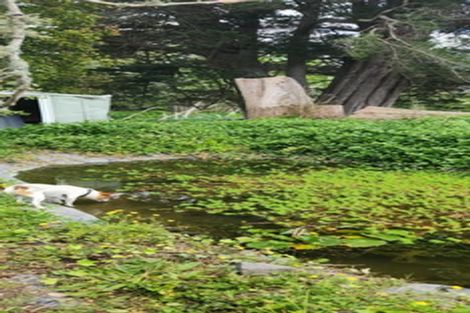 Photo of property in 24 Tourist Road, Clevedon, Papakura, 2582