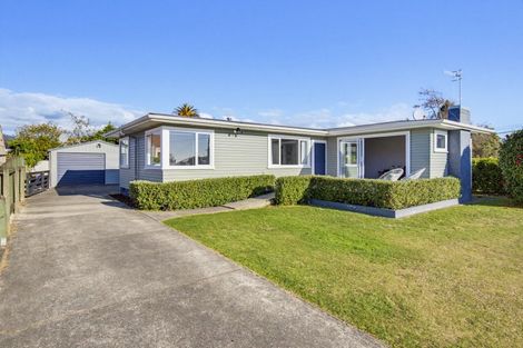 Photo of property in 40 Parker Avenue, Levin, 5510