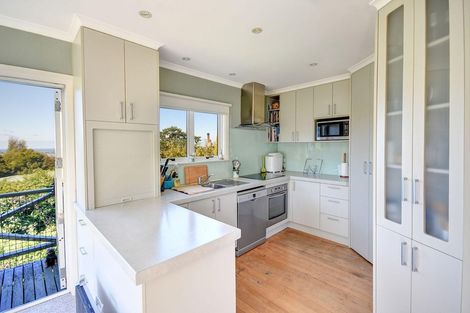 Photo of property in 63 Oakwood Avenue, Maryhill, Dunedin, 9011