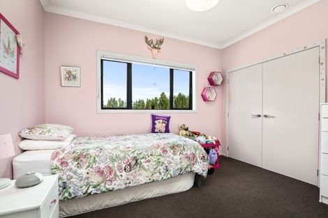 Photo of property in 233 Letts Gully Road, Letts Gully, Alexandra, 9393