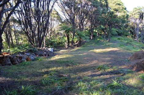 Photo of property in 480 Driving Creek Road, Coromandel, 3506