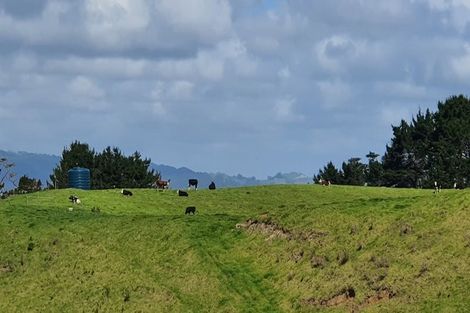 Photo of property in 247 Kaihau Road, Karioitahi, Waiuku, 2683