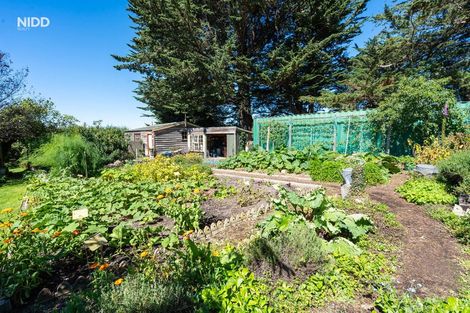 Photo of property in 56 Burgess Road, Herbert, Oamaru, 9495