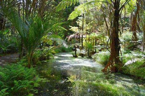 Photo of property in 204 Omaha Valley Road, Big Omaha, Warkworth, 0985