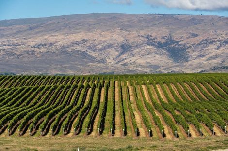 Photo of property in 130a Mcarthur Road, Springvale, Alexandra, 9391