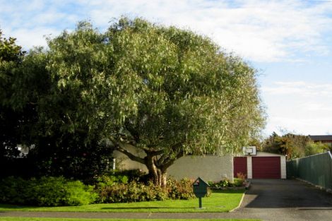Photo of property in 46 Burn Street, Levin, 5510